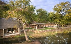 Chacma Bush Camp